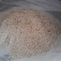 نیم دانه درشت هاشمی تازه و امساله