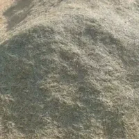 علف همه گیاه