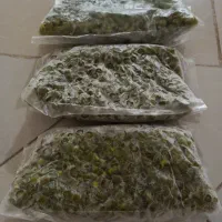 لوبیاسبز پاک‌شده