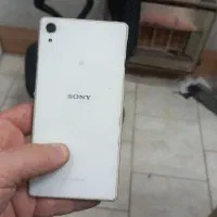 السیدی z2