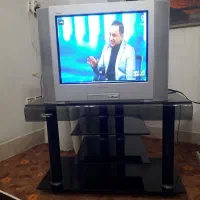 تلویزیون