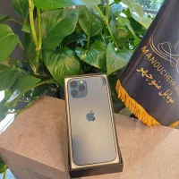 iphone 12 promax 256 zaa