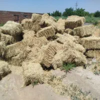 یونجه بسته بندی شد