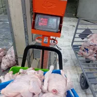 کار گر هشت تیکه کن و بیخض کار مرغ