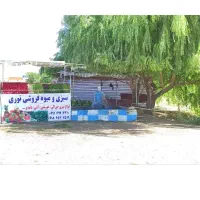 میوه و سبزی تازه خوش مزه خوراکی خورشتی پاک کرده