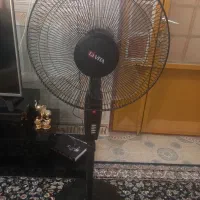 لاویتا