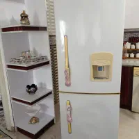 یخچال و فریزر الکترو استیل