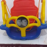 جولانه استفاده نشده نو