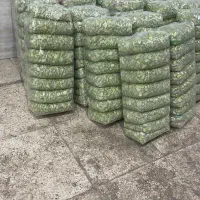 باقالی سبز درجه ۱