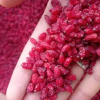 بازرگانی پادینا، فروش عمده زرشک صادراتی