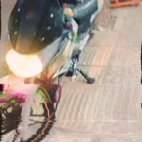 مدل 90|موتورسیکلت|رابر, |دیوار