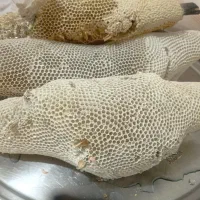 عسل وحشی طبیعی سرشاخه