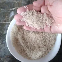 برنج کشت دوم اعلا