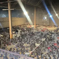 نیمچه بوقلمون ۲۰ روزه برنز