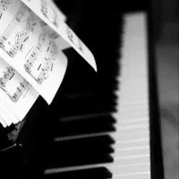 گروه موسیقی خاکستری