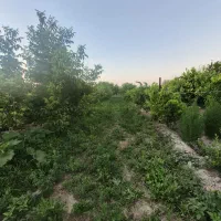 باغ|فروش دفتر صنعتی، کشاورزی، تجاری|کشکسرای, |دیوار