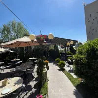ویتر ، سالنکار ساده
