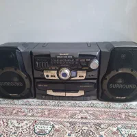 ضبط خانگی