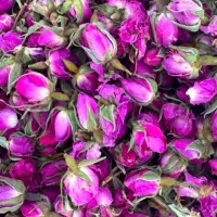 شاه غنچه لاله‌زار ( غنچه گل محمدی)