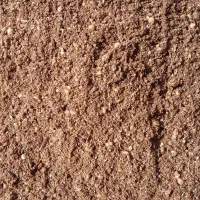 پودر هسته خرما و خوراک دام