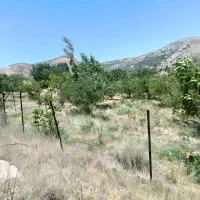 باغ در روستای قلعه عبدالله اردکان