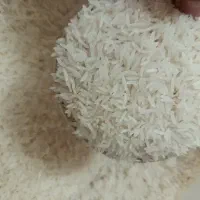 شالی فجر سوزنی نود روزه