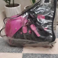 کفش اسکیت