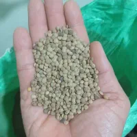 عدس ریز وخوش پخت