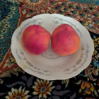 میوه|خوردنی و آشامیدنی|پارس‌آباد, |دیوار