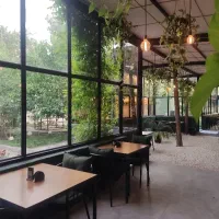 سالندار و کارآموز بار