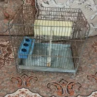 قفس پرنده