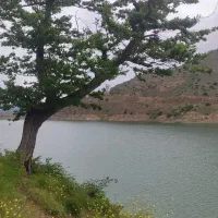 تور ویژه بانوان