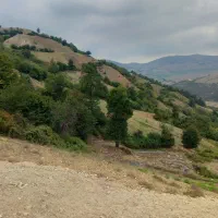 زمین کشاورزی فروش فوری
