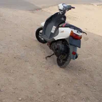 پاکشتی لتس فور