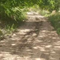 موردی عالی برای سرمایه گذاری وباغ داری