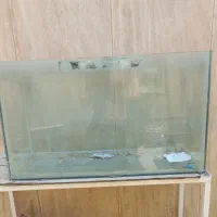 اکواریوم