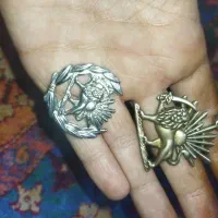 پلاک و گردنبند نقش شیروخورشید