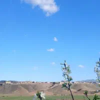 نوشته روی کاغذ