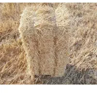 پرس کاه جو گندم