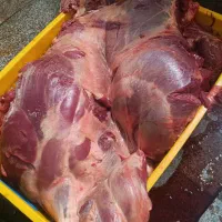 توزیع گوشت گوساله( تلیسه)