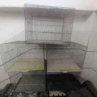 قفس قناری و جوجه پران