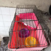 قفس خارجی خوکچه و خرگوش