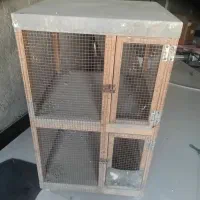 قفس پرنده کبوتر مرغ عشق