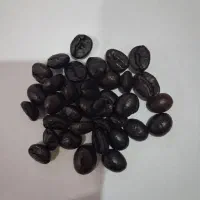 قهوه چری لوکس اسکرین بالا - رست دارک