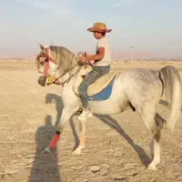 سیلمی تیتانیم