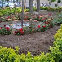 خدمات باغبانی گلکاری باغچه کاری تعویض خاک گلدان