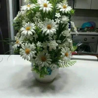 گل کریستال