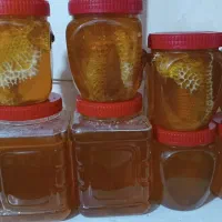 طعم ناب طبیعت