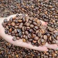 استخدام نیروی خانم بابت کار در کافی شاپ‌
