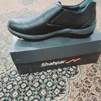 کفش،اداری